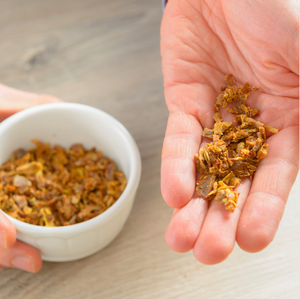 Propolis_miellerie_du_fief