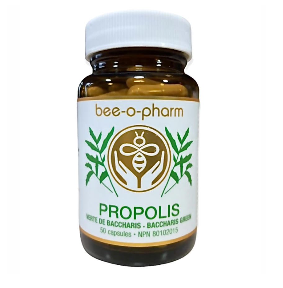 Capsule de Propolis Verte de Baccharis